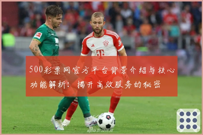 500彩票网官方平台背景介绍与核心功能解析:揭开高效服务的秘密