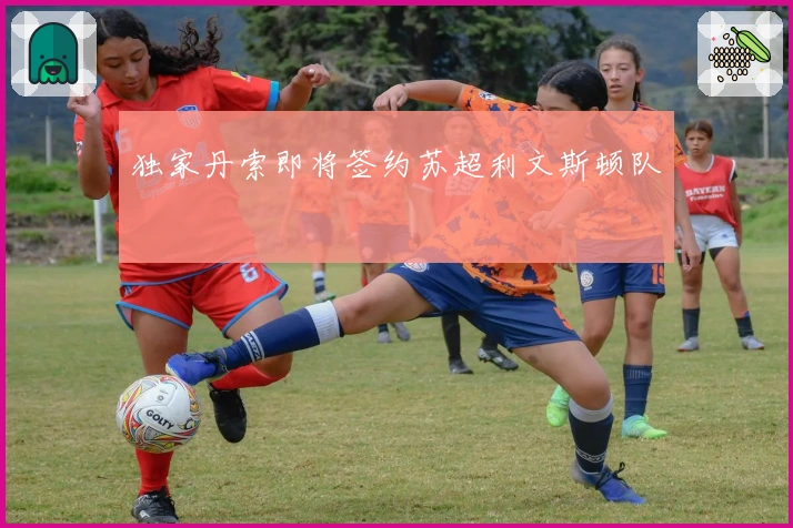 独家丹索即将签约苏超利文斯顿队