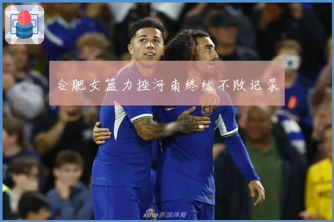 合肥女篮力挫河南终结不败记录