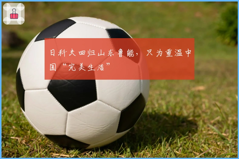 日科夫回归山东鲁能，只为重温中国“完美生活”